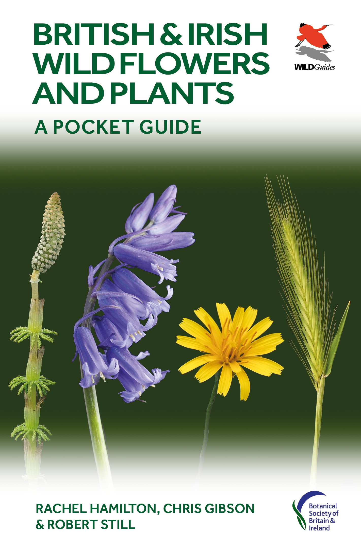British and Irish Wild Flowers and Plants | Princeton University Press