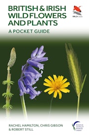 British and Irish Wild Flowers and Plants