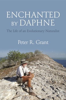 Enchanted by Daphne