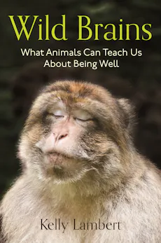 Wild Brains
