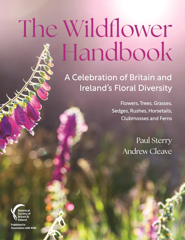 The Wildflower Handbook