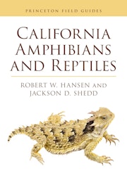 California Amphibians and Reptiles