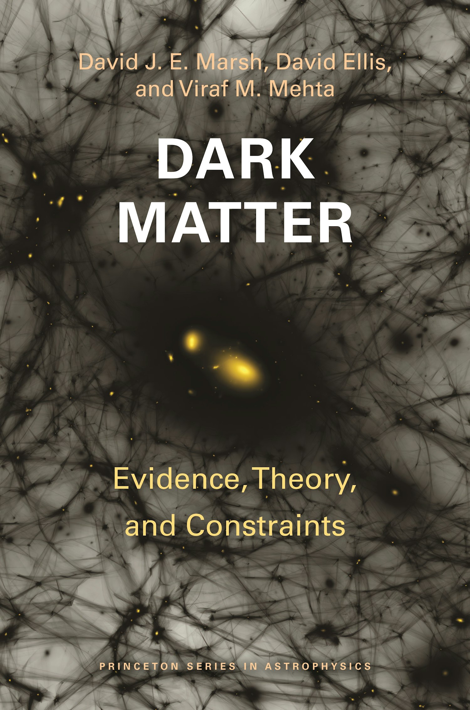 dark matter book essay