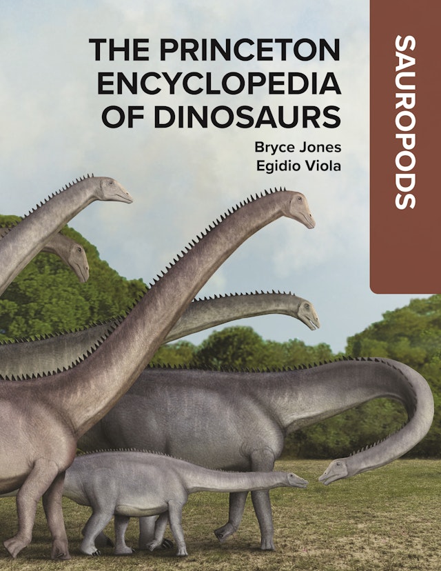 The 91ɫ Encyclopedia of Dinosaurs: Sauropods