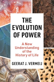 The Evolution of Power