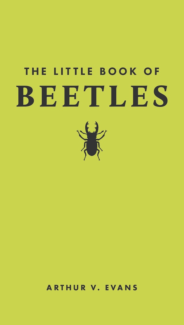 The Little Book of Beetles