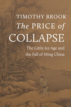 The Price of Collapse