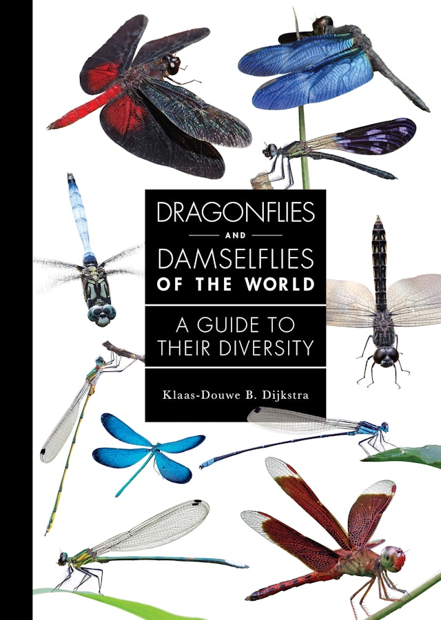 Dragonflies and Damselflies of the World