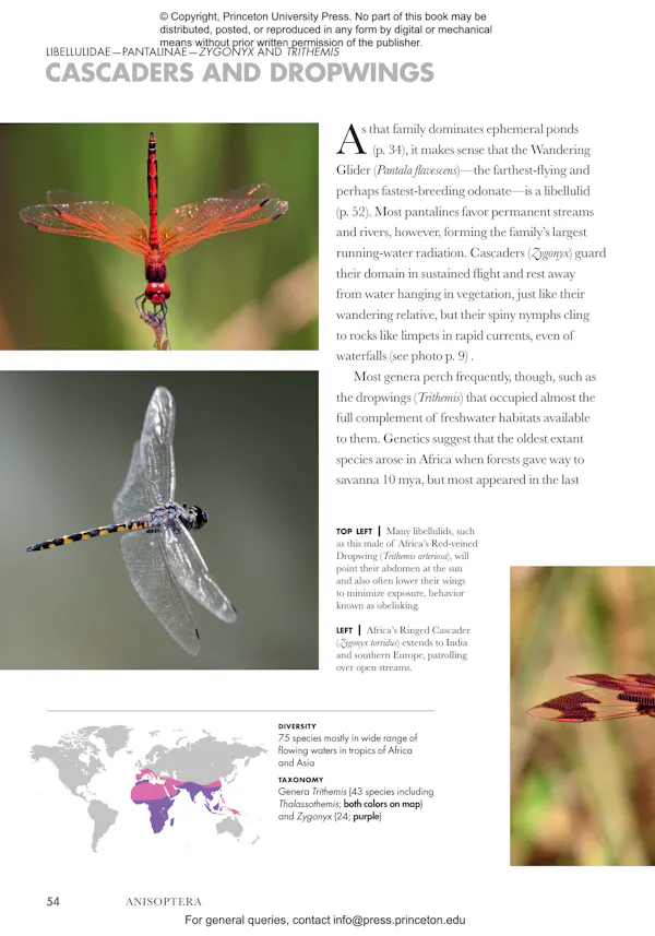 Dragonflies and Damselflies of the World | Princeton University Press