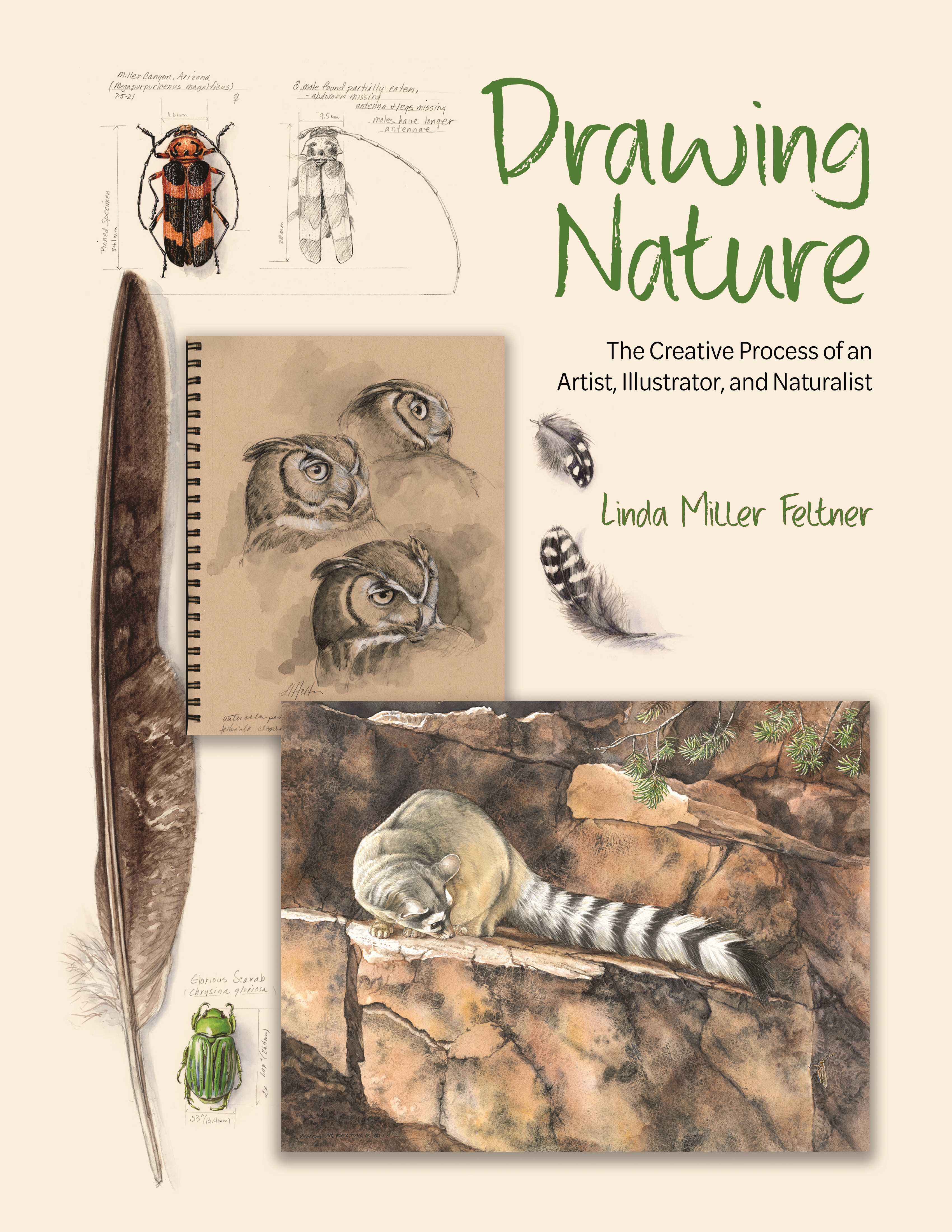 Easy Nature Drawing with Pencil