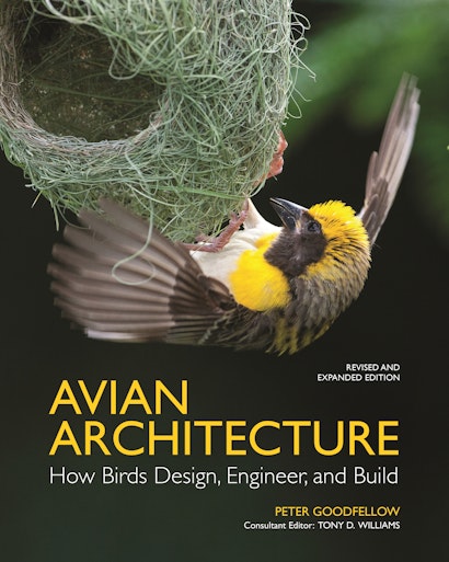 Avian Architecture  Revised and Expanded Edition