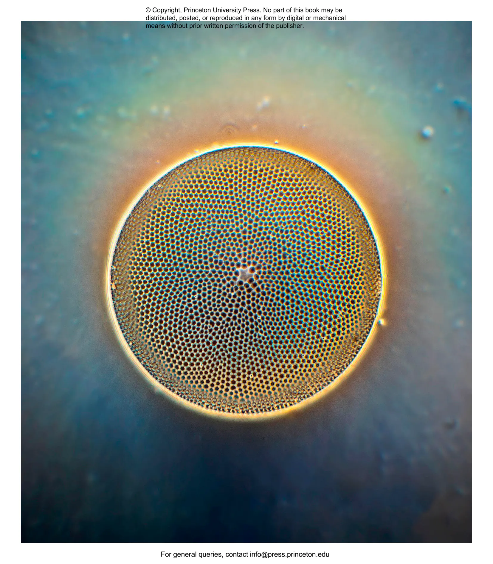 Plankton | Princeton University Press