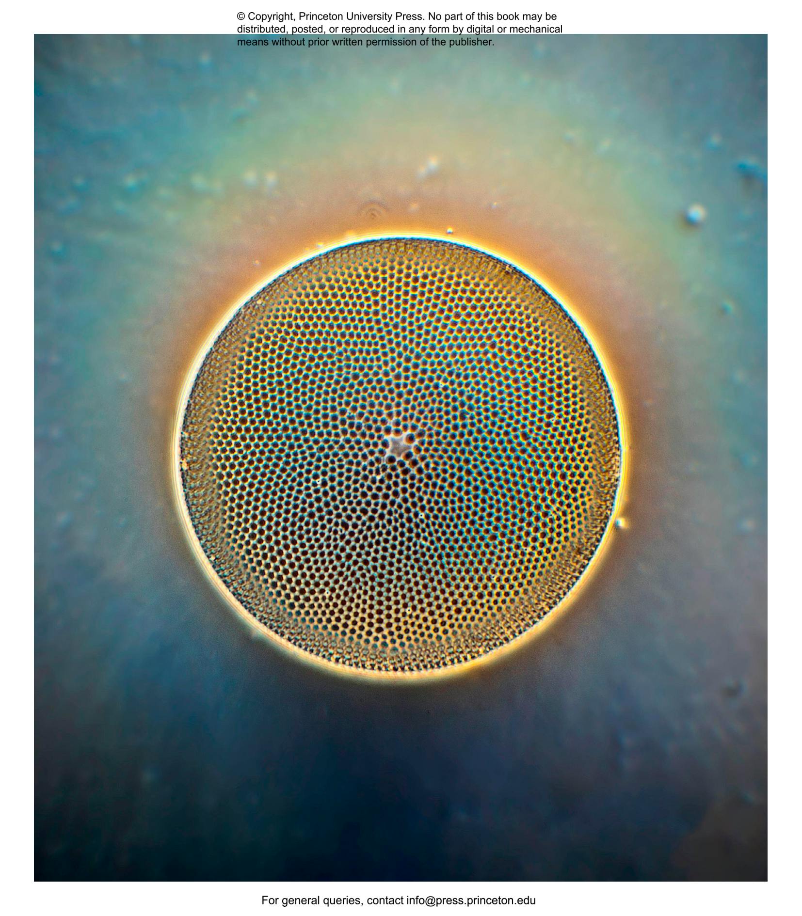 Plankton | Princeton University Press