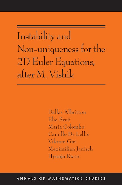 维希克之后的二维欧拉方程的不稳定性和非唯一性