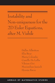 M.Vishik之后的二维欧拉方程的不稳定性和非唯一性