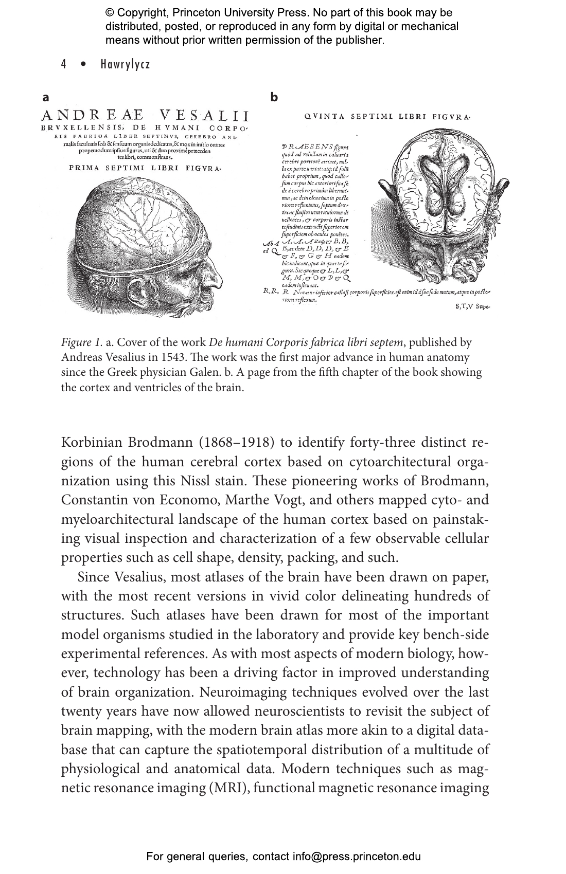 洋書 The Postmodern Brain 洋書 The Postmodern Brain Top Brain, Bottom Brain