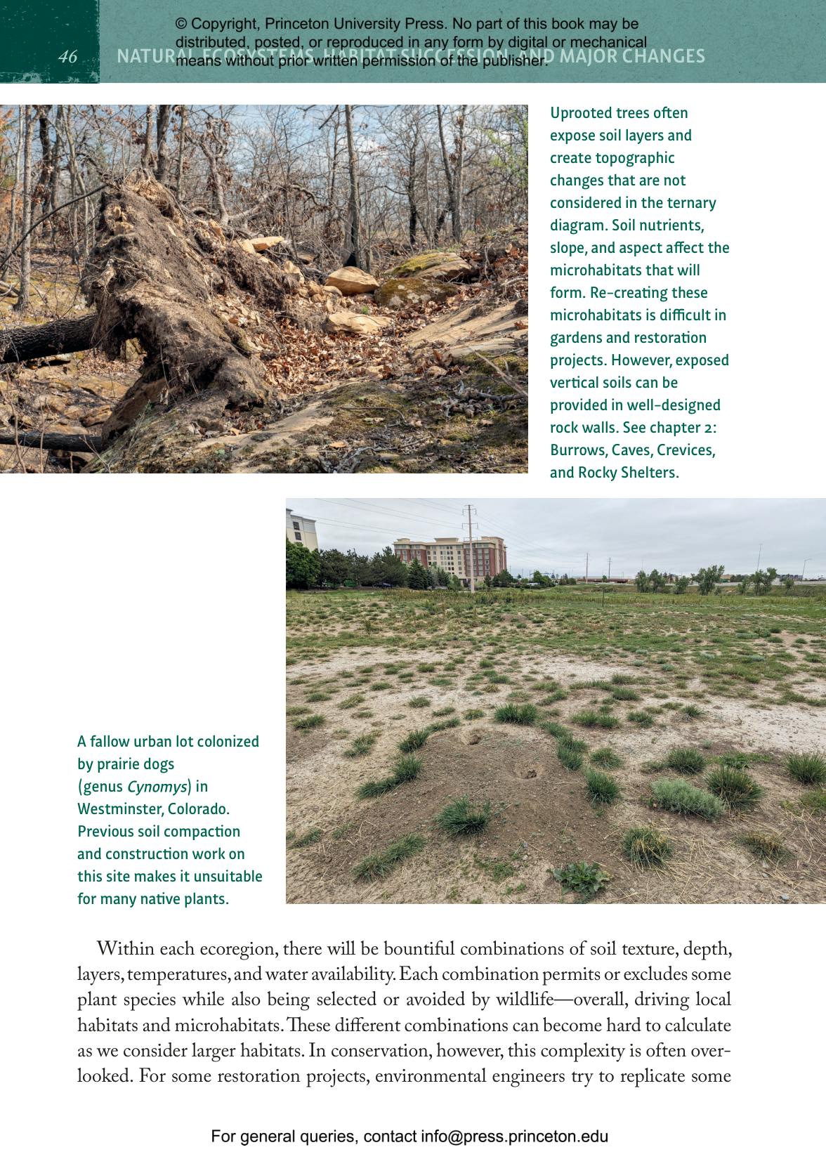 Natural Habitats and Wildlife Gardening | Princeton University Press