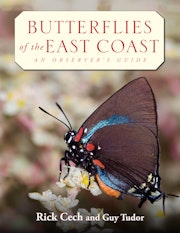 Butterflies of the East Coast