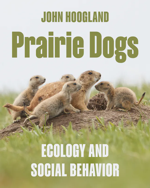 Prairie Dogs