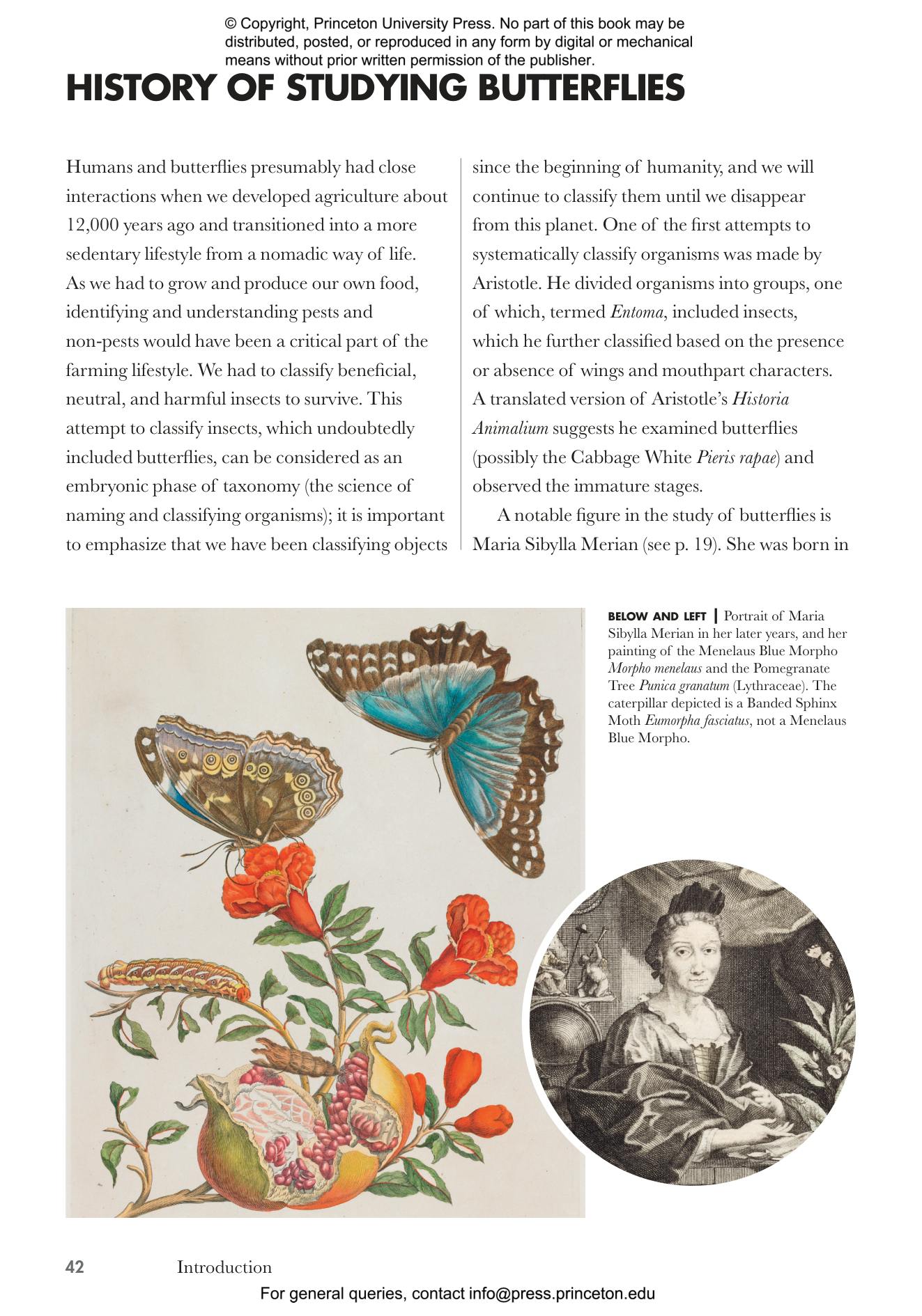 Butterflies of the World | Princeton University Press