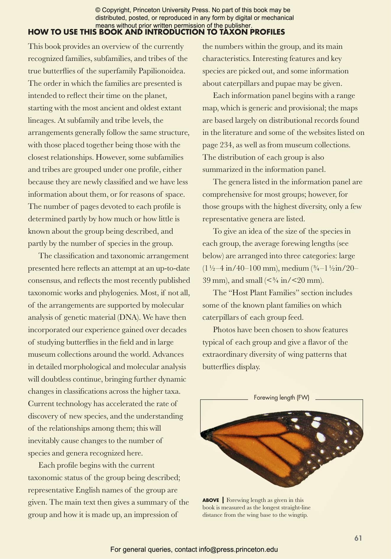 洋書 Butterflies from China, Japan, and Corea Butterflies From China, Japan, and Corea; Volume 1: Leech