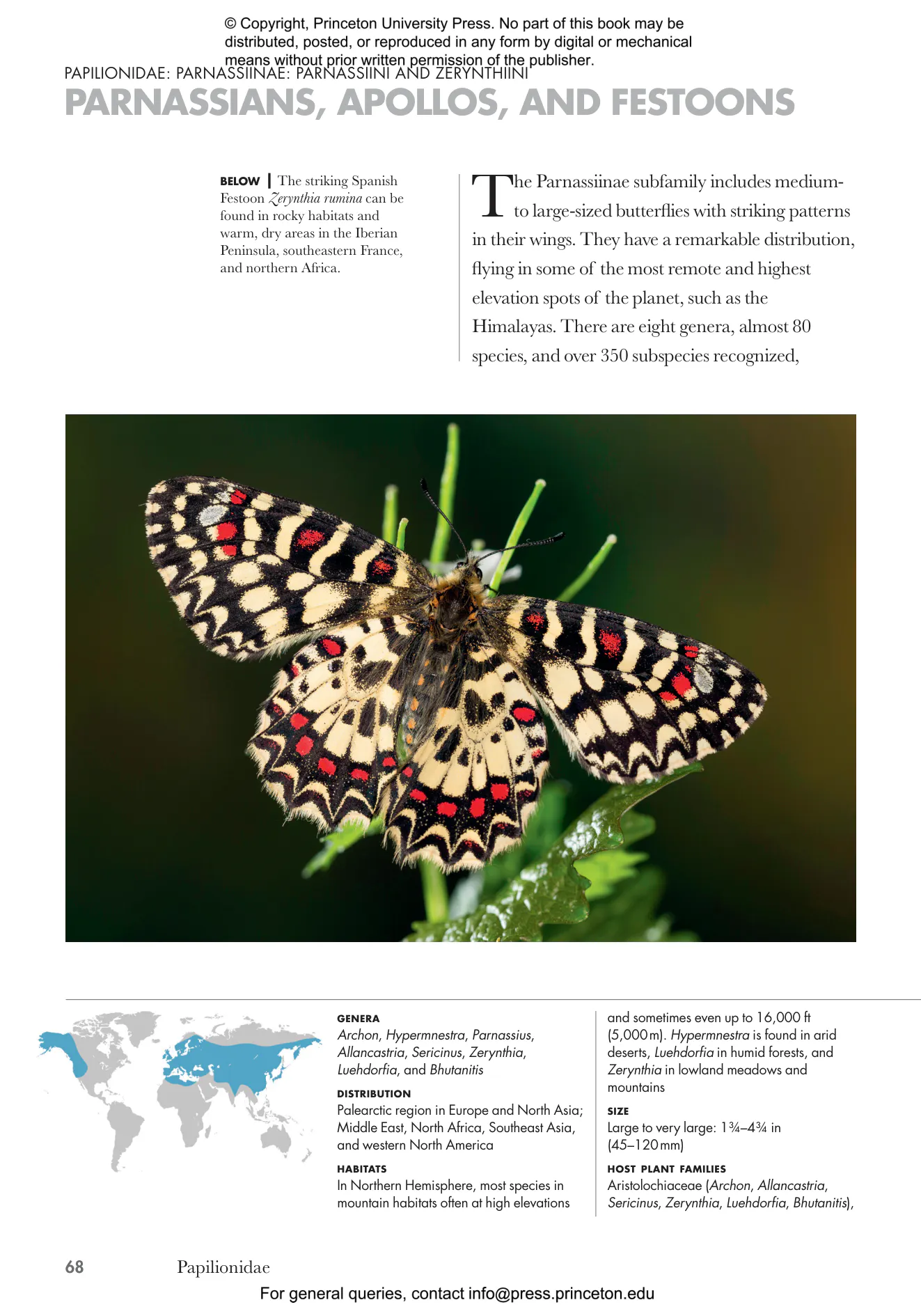 Butterflies of the World | Princeton University Press