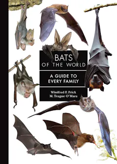 Bats of the World