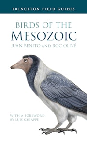 Birds of the Mesozoic