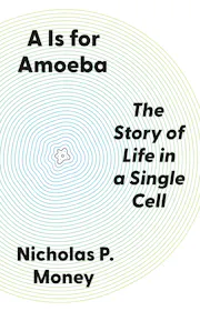 A Is for Amoeba