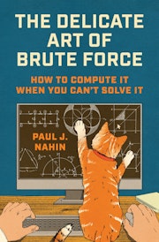 The Delicate Art of Brute Force