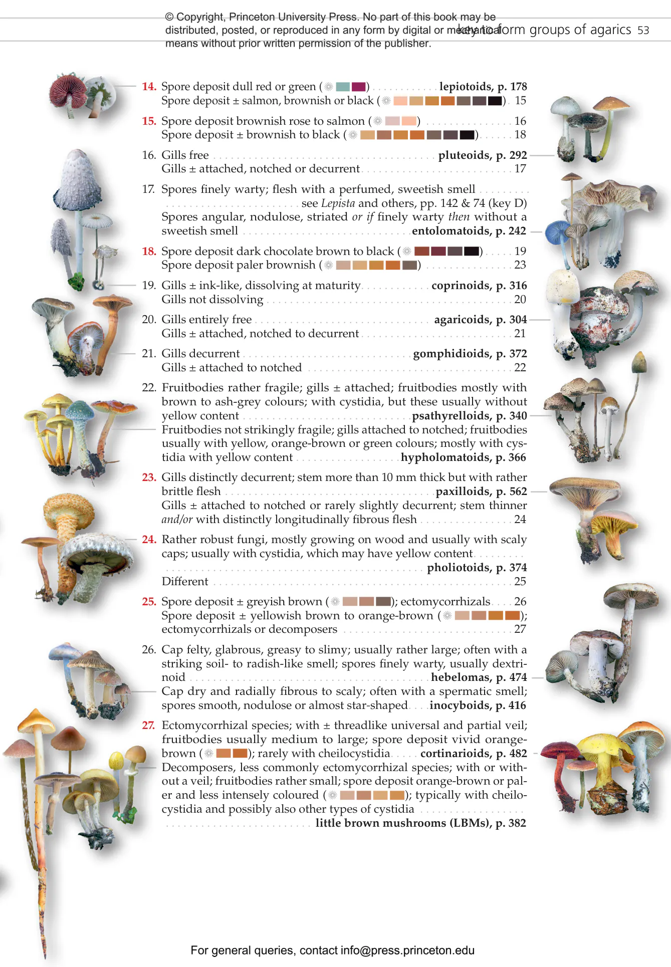 Fungi of Temperate Europe | Princeton University Press