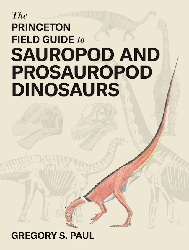 The 91ɫ Field Guide to Sauropod and Prosauropod Dinosaurs