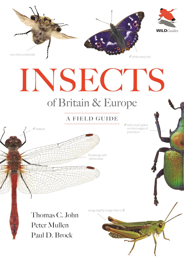 Insects of Britain and Europe