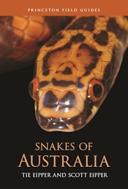 Snakes of Australia
