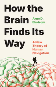 How the Brain Finds Its Way