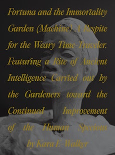 Fortuna and the Immortality Garden (Machine)