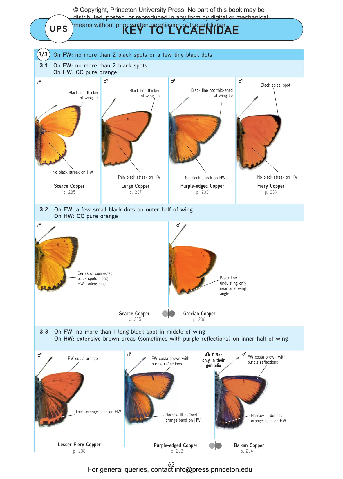 Butterflies of Britain and Western Europe and Their Caterpillars