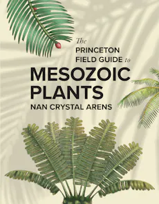 The ��ɫֱ�� Field Guide to Mesozoic Plants