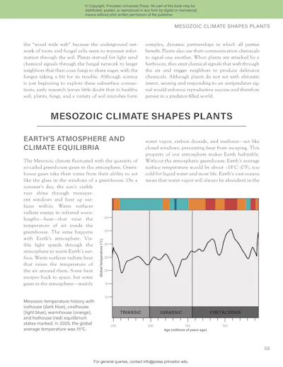 The Princeton Field Guide to Mesozoic Plants | Princeton University Press