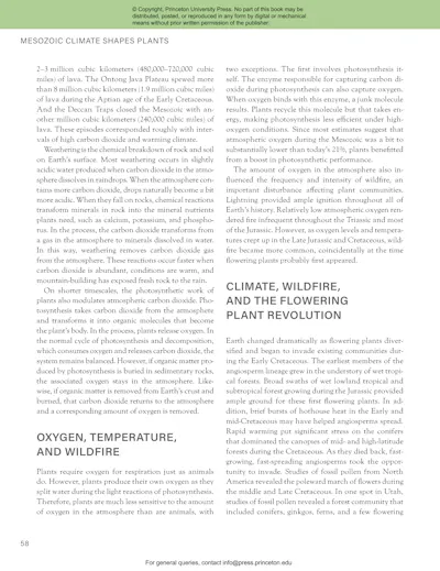 The Princeton Field Guide to Mesozoic Plants | Princeton University Press