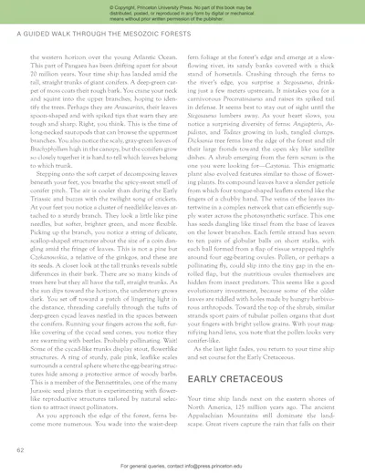 The Princeton Field Guide to Mesozoic Plants | Princeton University Press