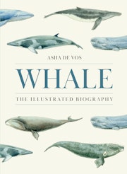 Whale