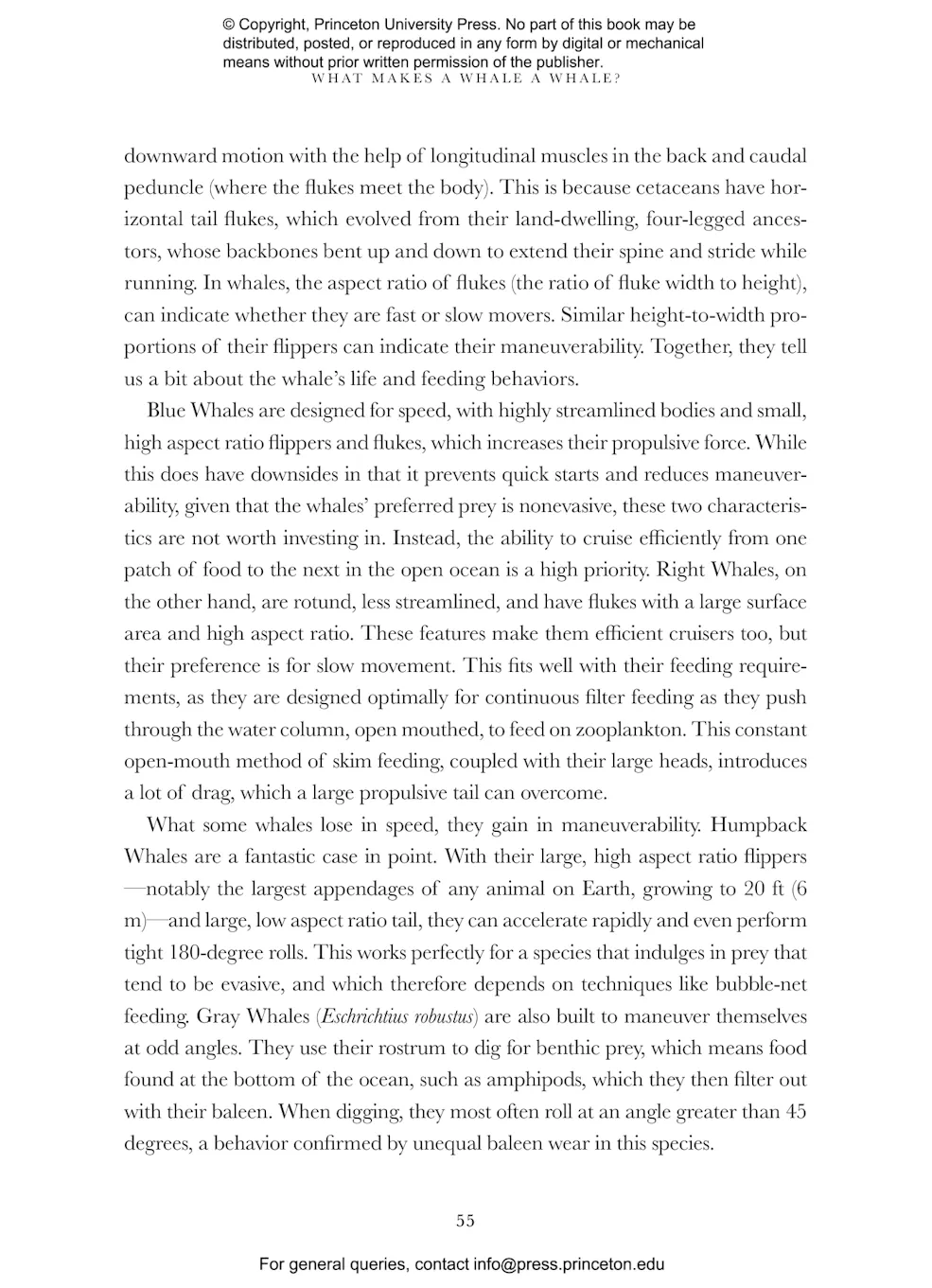 Whale The Illustrated Biography main image 1