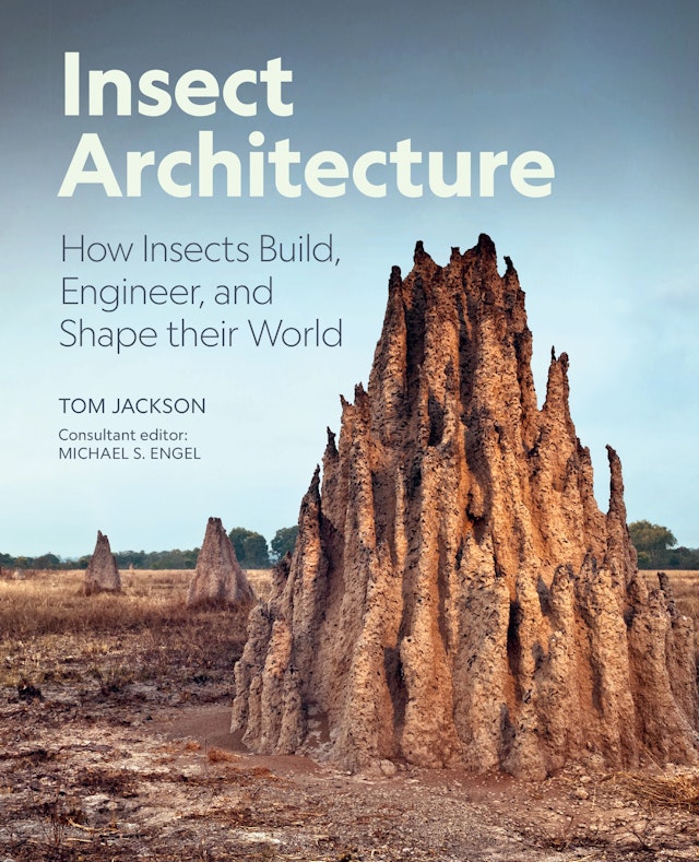 Insect Architecture