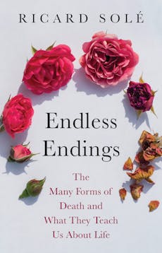 Endless Endings