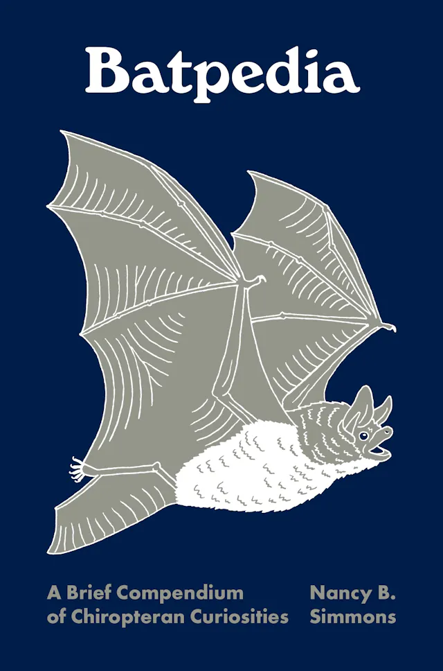 Batpedia