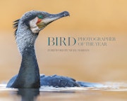 Bird Photographer of the Year