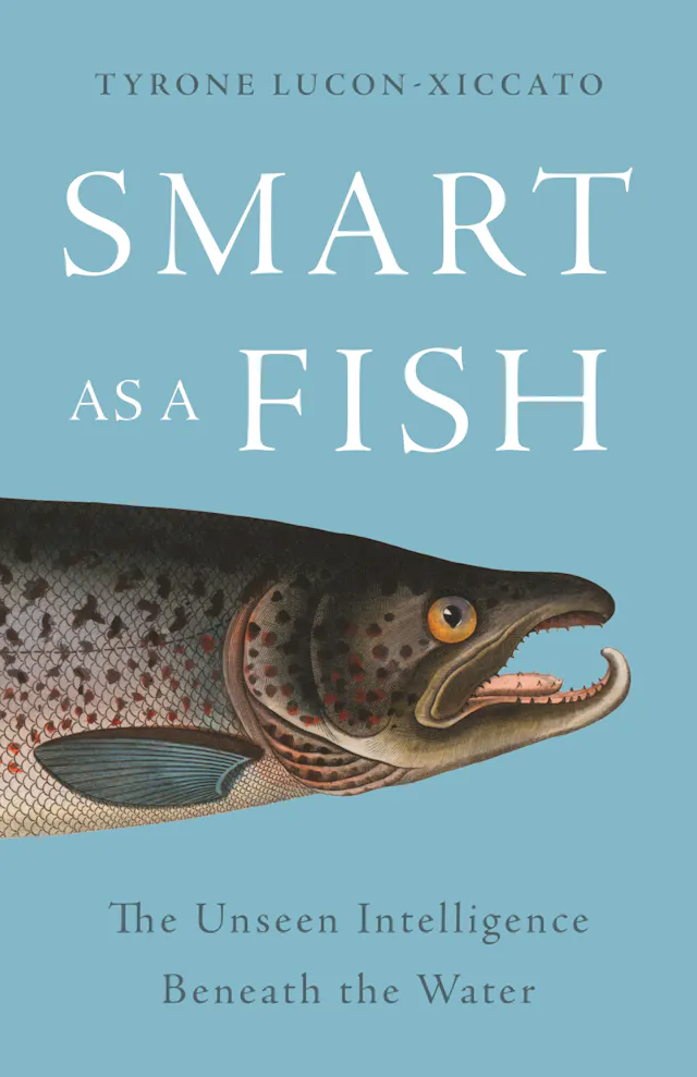 Smart as a Fish