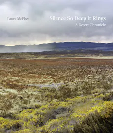 Silence So Deep It Rings