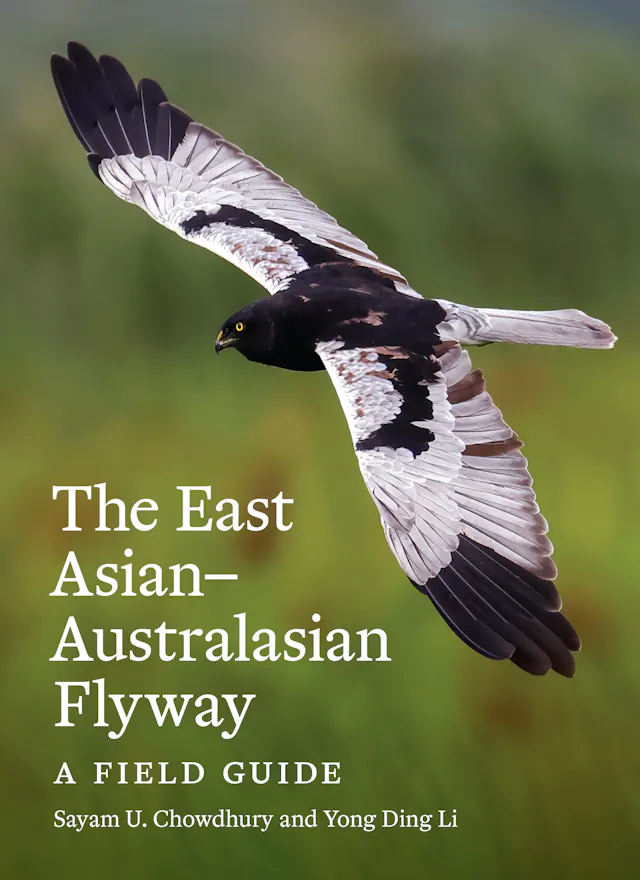 The East Asian–Australasian Flyway
